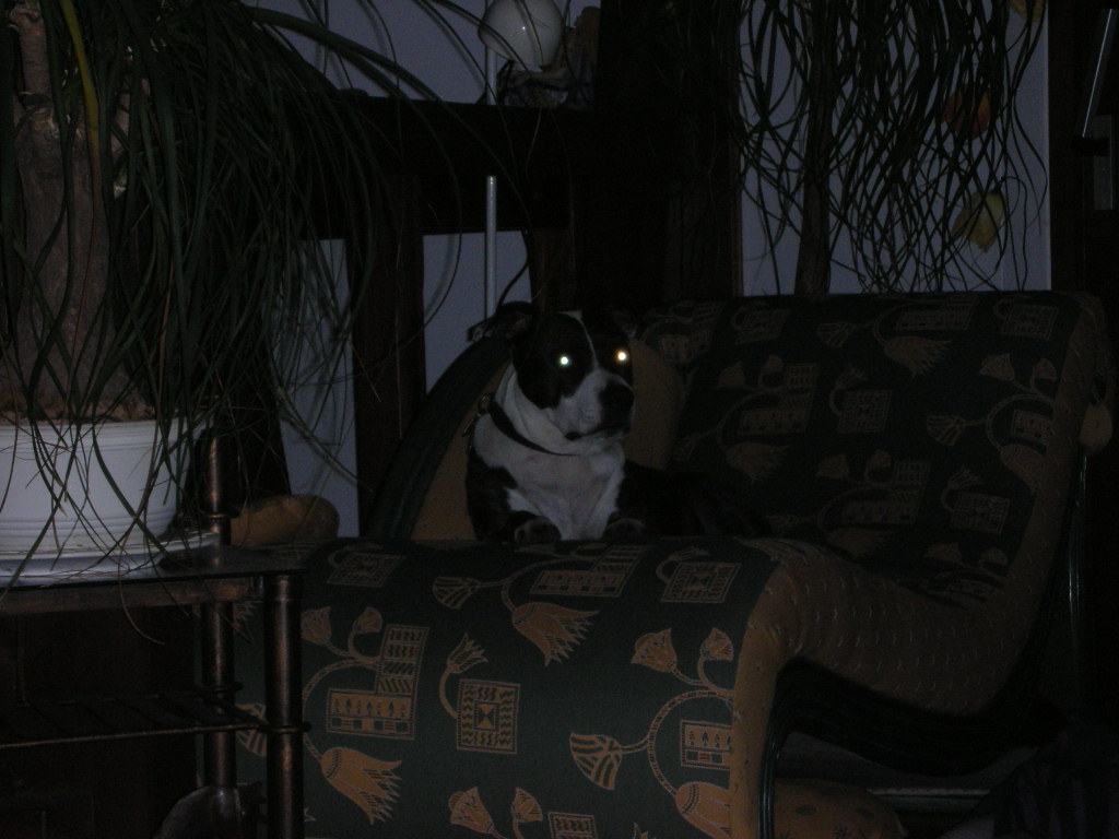 DSCN0022.JPG