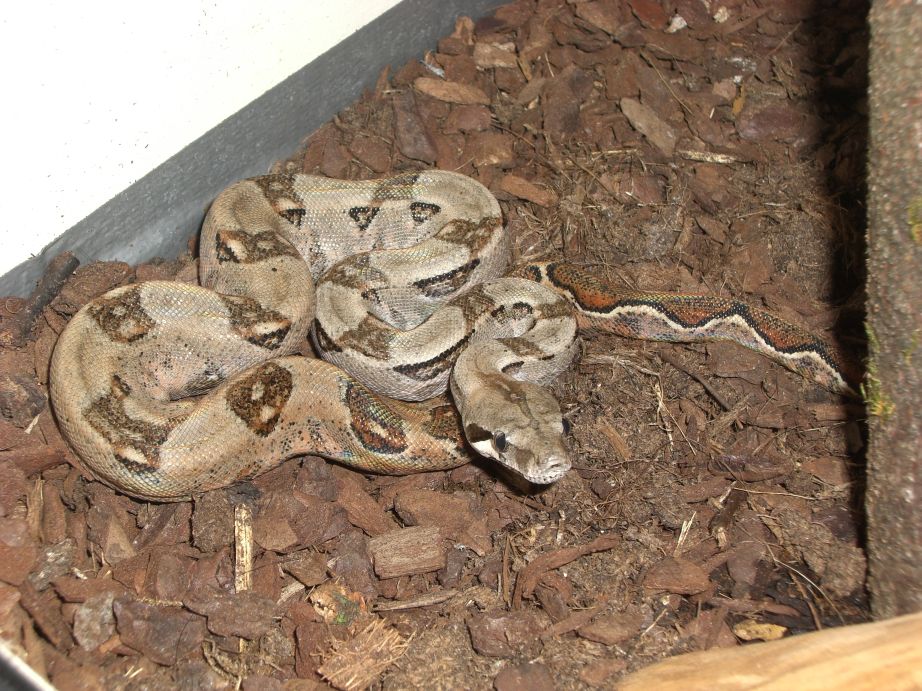1.0_B.c.i.Equador_4.jpg