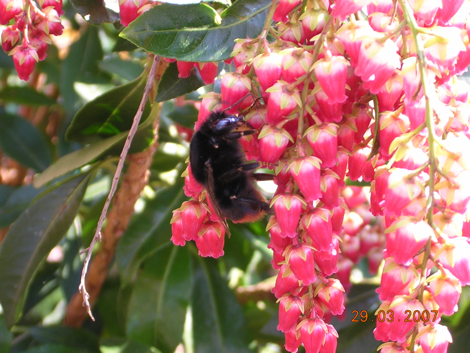 DSCN3315.JPG