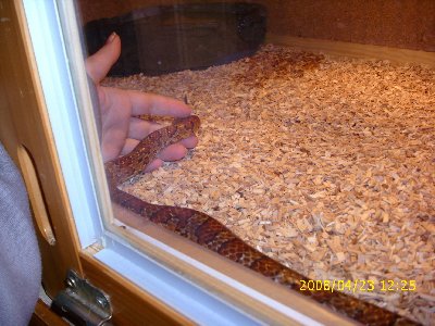 DSCI0010_400x300.JPG
