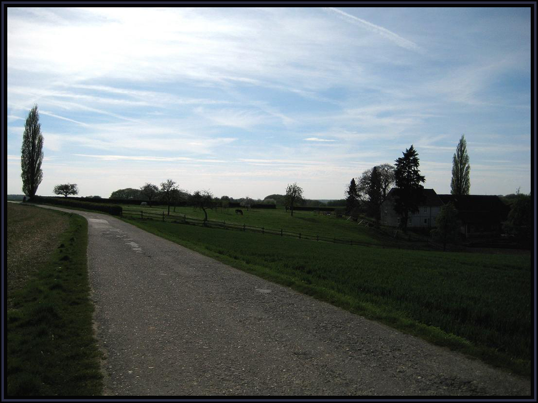 Bild2 211 Kopie.jpg