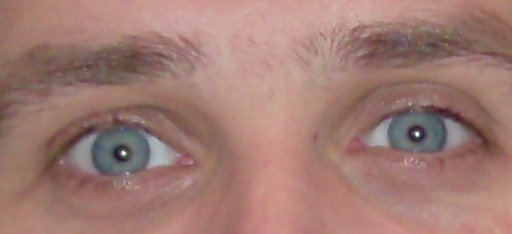 Bild 018.jpg