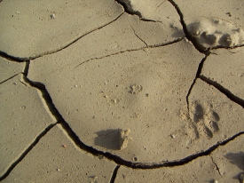 PICT0222.jpg