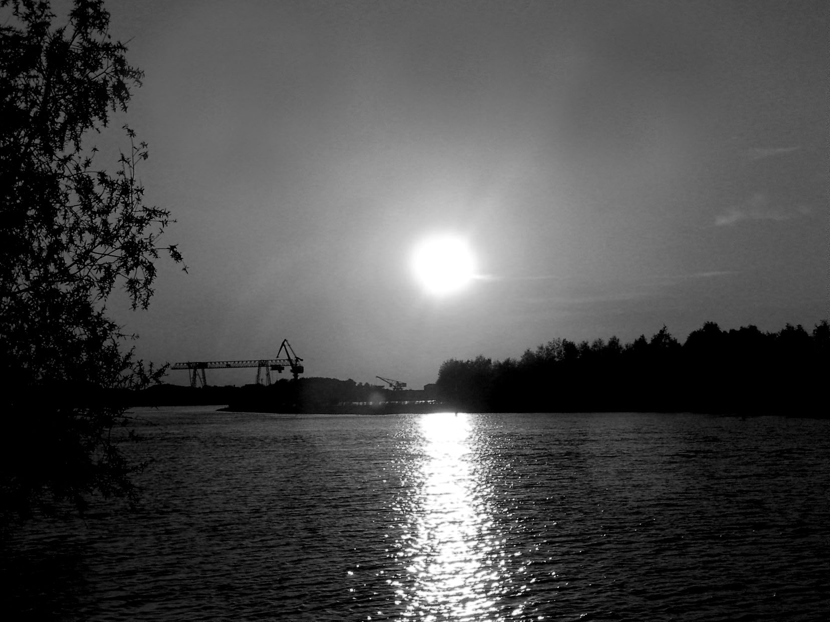111_1273sw2.jpg