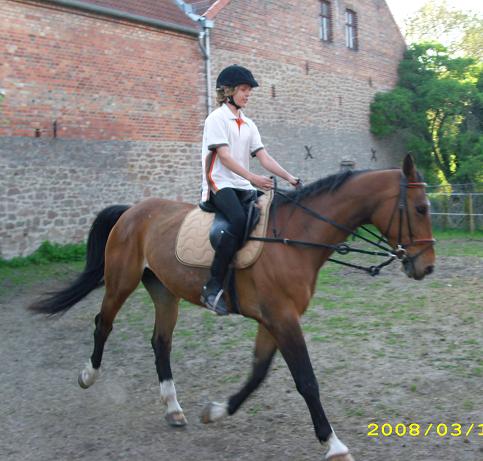 vito auf havanna.JPG