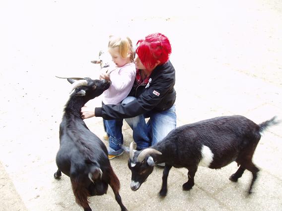 wildpark1.JPG