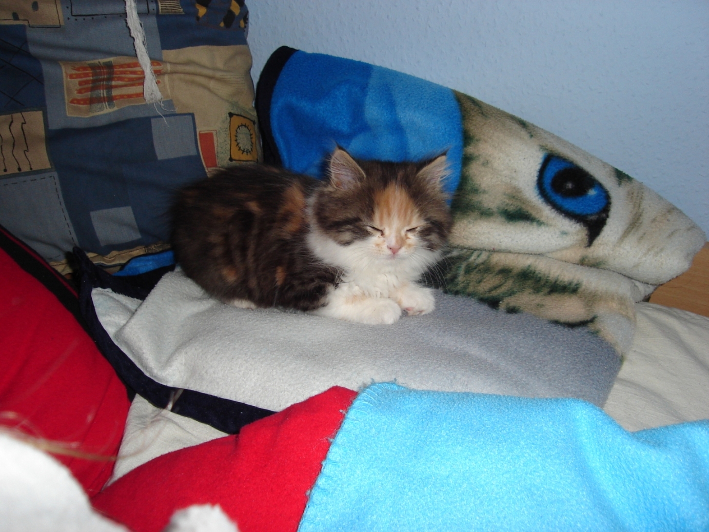 20070511 003.jpg