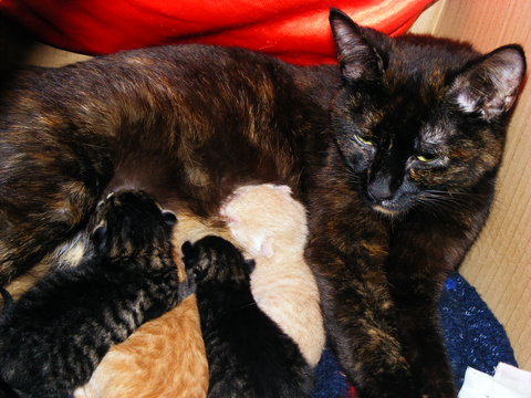 DSCF0973.jpg