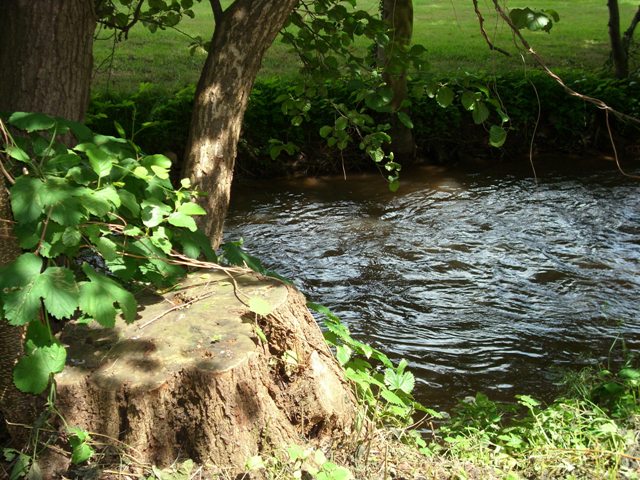 DSCI0263.JPG