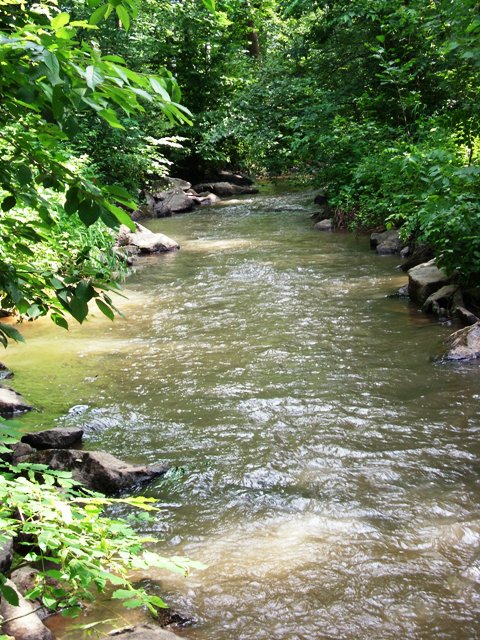 DSCI0270.JPG
