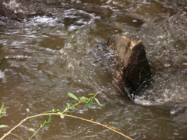 DSCI0271.JPG