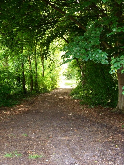 DSCI0268.JPG