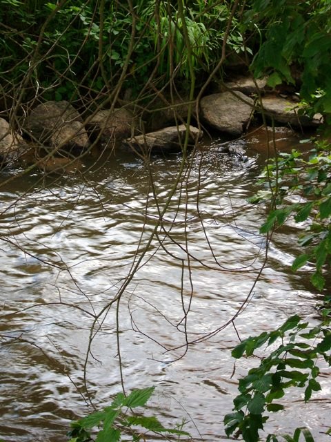 DSCI0262.JPG