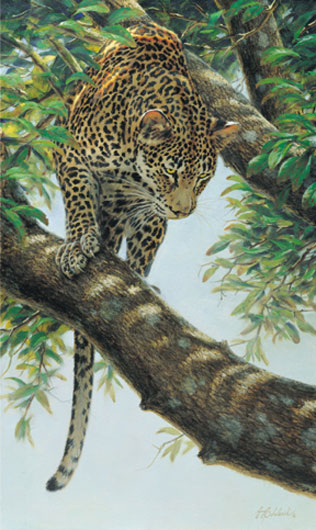 leopard-art-print.jpeg
