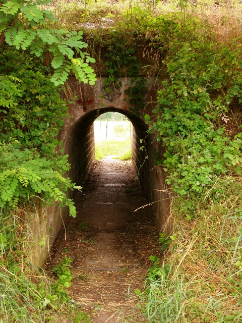 DSCI0335.JPG
