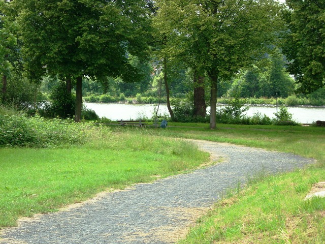 DSCI0316.JPG
