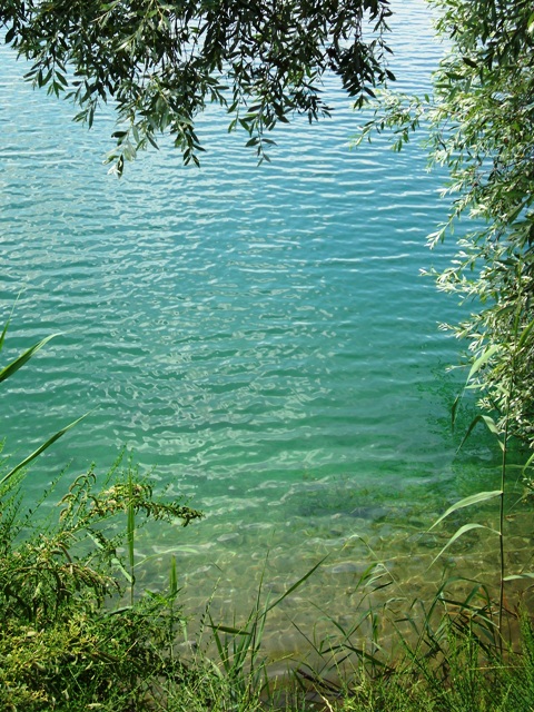 DSCI0382.JPG