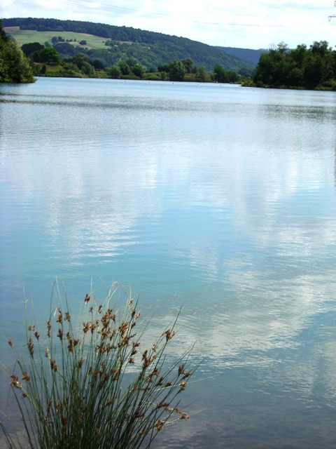 DSCI0379.JPG