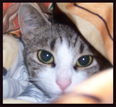 Mable2_klein.jpg