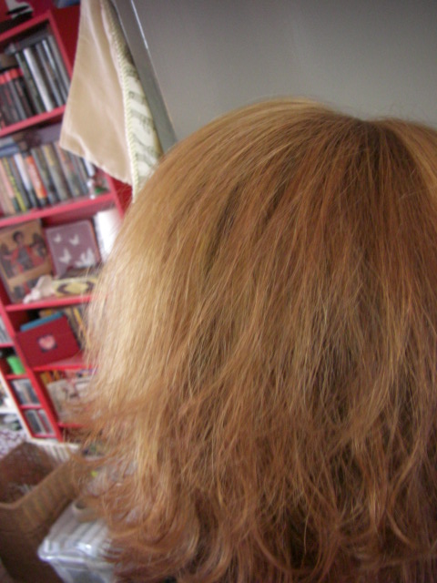 haare honig 004.JPG