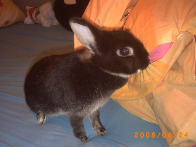PICT0102.JPG