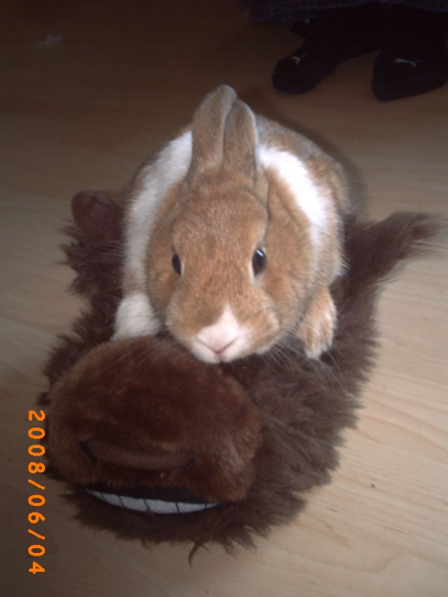 PICT0100.JPG