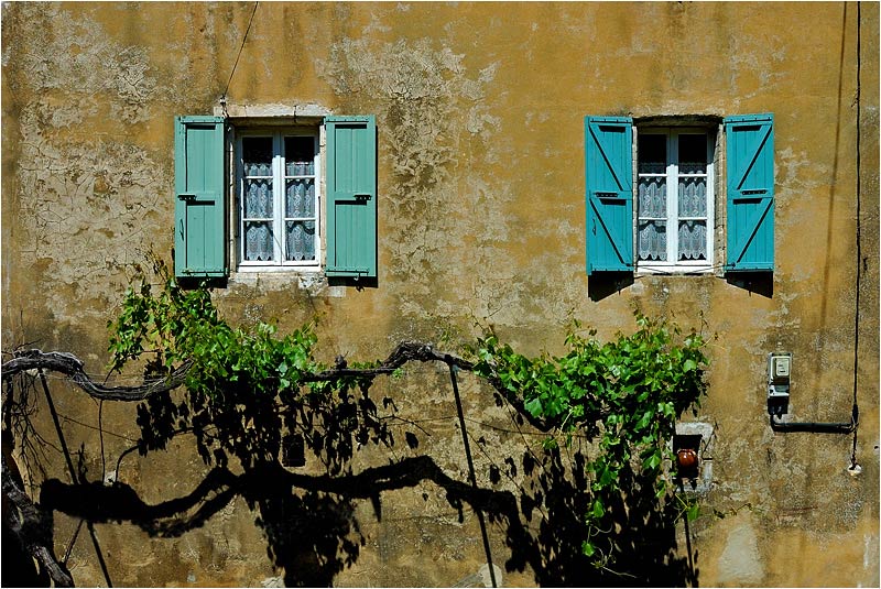 Weinlese_vor_dem_Fenster.jpg
