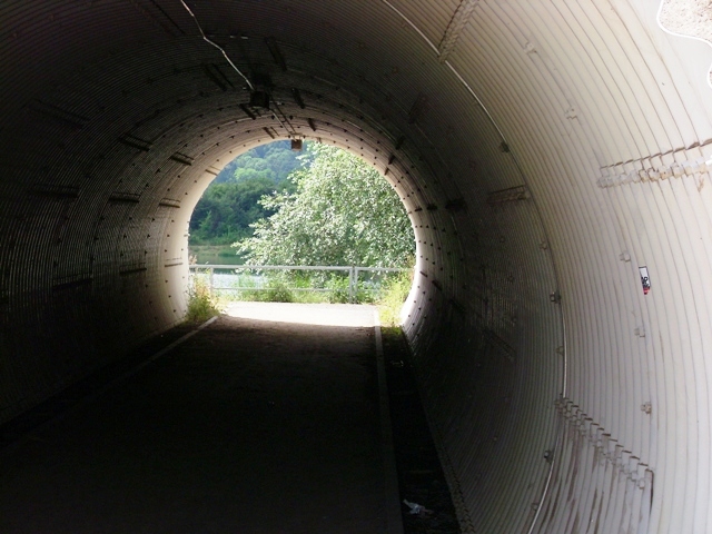 DSCI0381.JPG