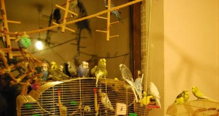 DSC_0272a.jpg
