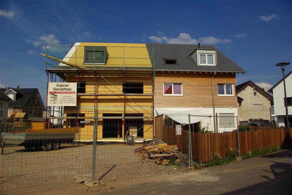 IMGP0828 (Large).JPG