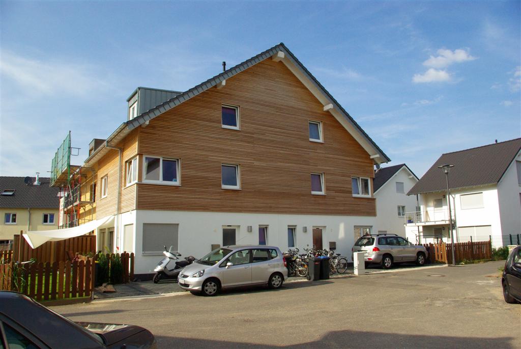 IMGP0831 (Large).JPG