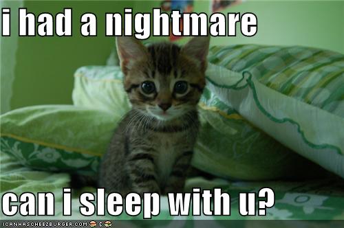 funny-pictures-kitten-had-a-nightmare.jpg