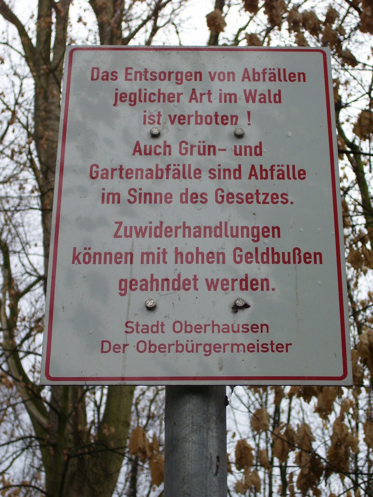 111_1515.JPG