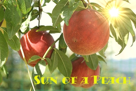 peach.jpg