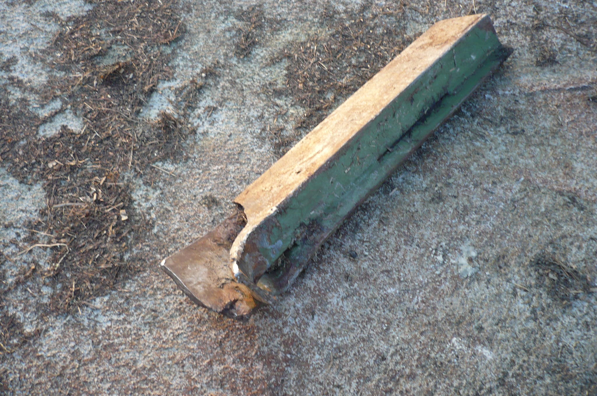 P1010333.JPG