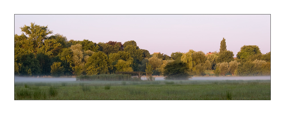 leinem.nebel.jpg