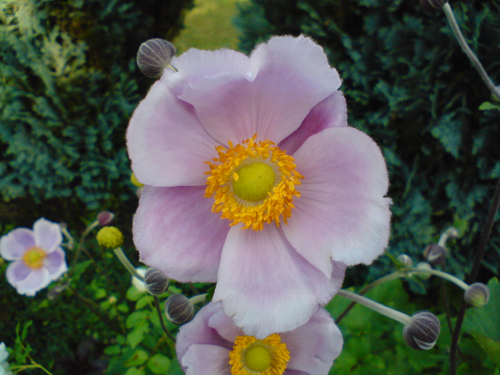 DSC00056.JPG