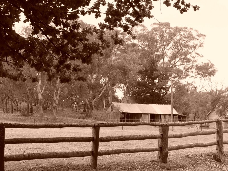 P1070009.jpg