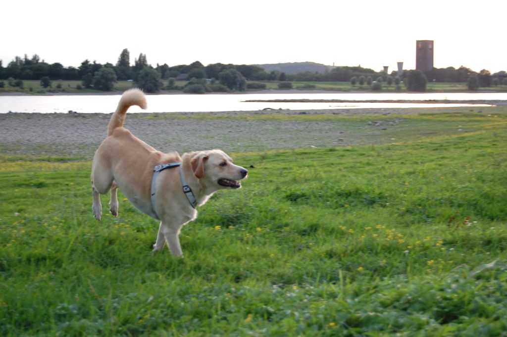 DSC_0043.jpg
