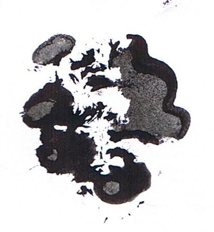CCI00018.JPG