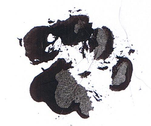 CCI00017.JPG