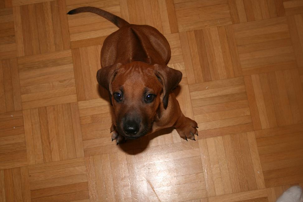 Nia 16.08.08 011.JPG