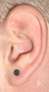 linkes ÃƒÂ¶hr - 3,2mm.jpg