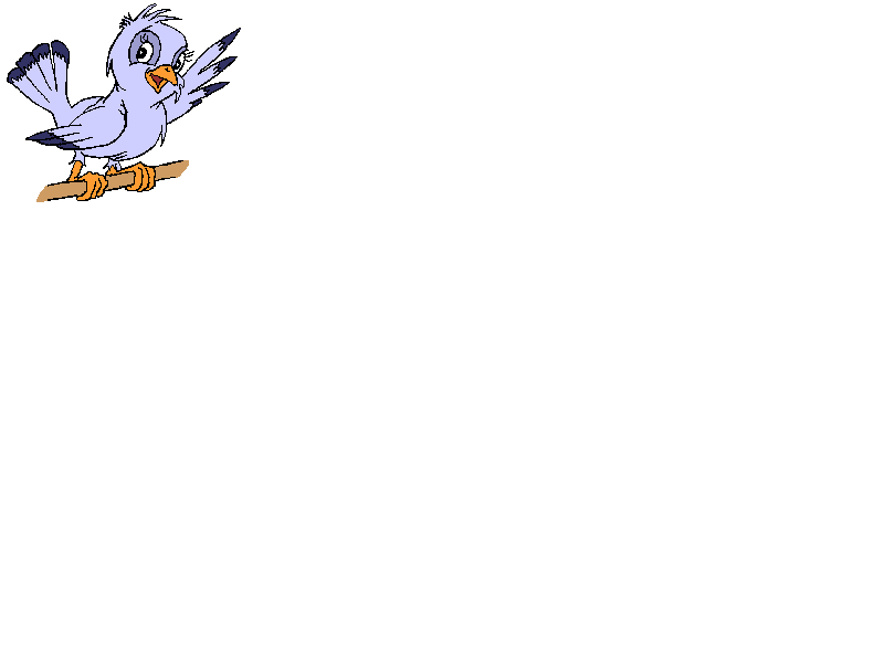 spatz4.gif