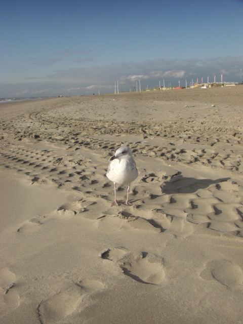 URLAUB2008 113.JPG
