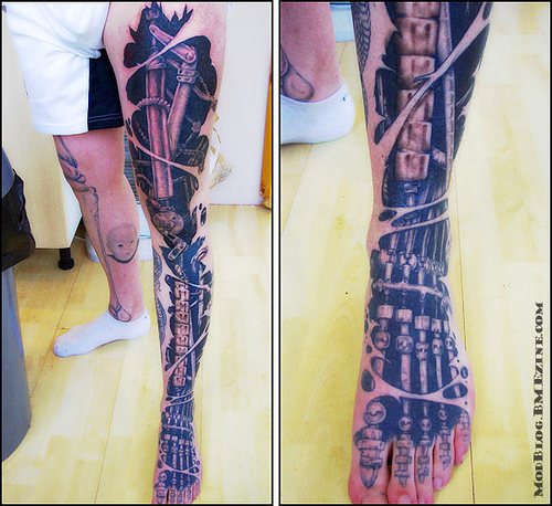 biomech01.jpg