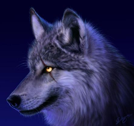 Wolf1.JPG