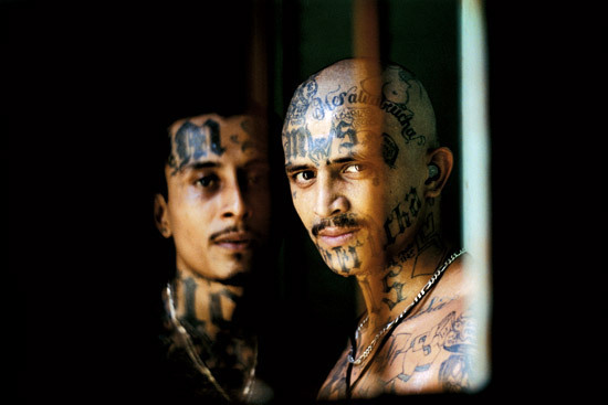 mara salvatrucha.jpg