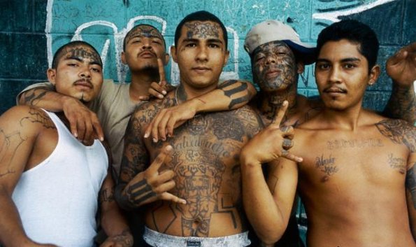 tetovani__gangy__mara-salvatrucha__la-mara_jpg_595.jpg