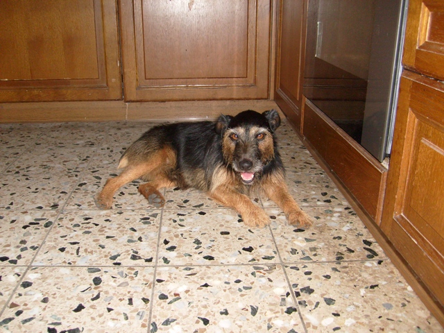 Meilo 3.JPG